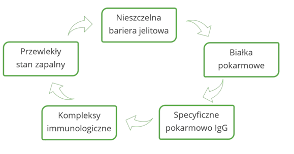 Nietolerancja pokarmowa IgG