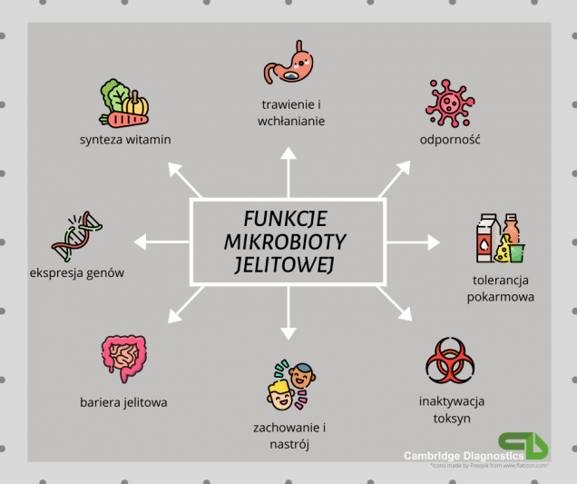 Co To Jest Mikrobiota Jelitowa I Jakie Pełni Funkcje Cambridge Diagnostics 7319